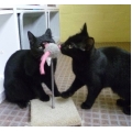 Olive & Bernice